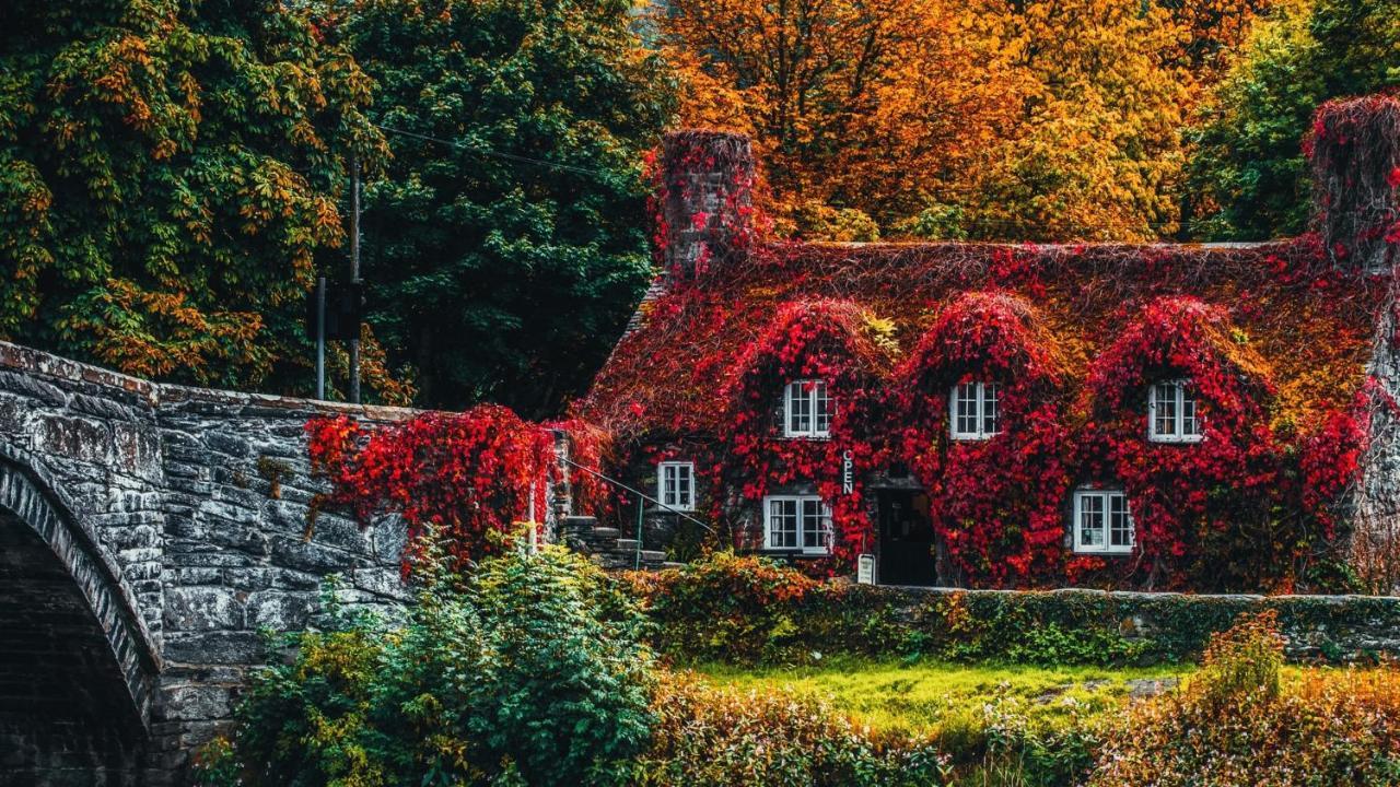 Sterling Bed & Breakfast Llandudno Bilik gambar